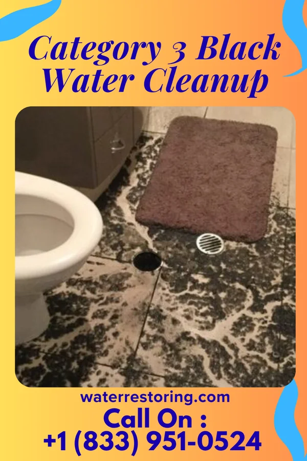 Category 3 Black Water Cleanup in New Plymouth, ID