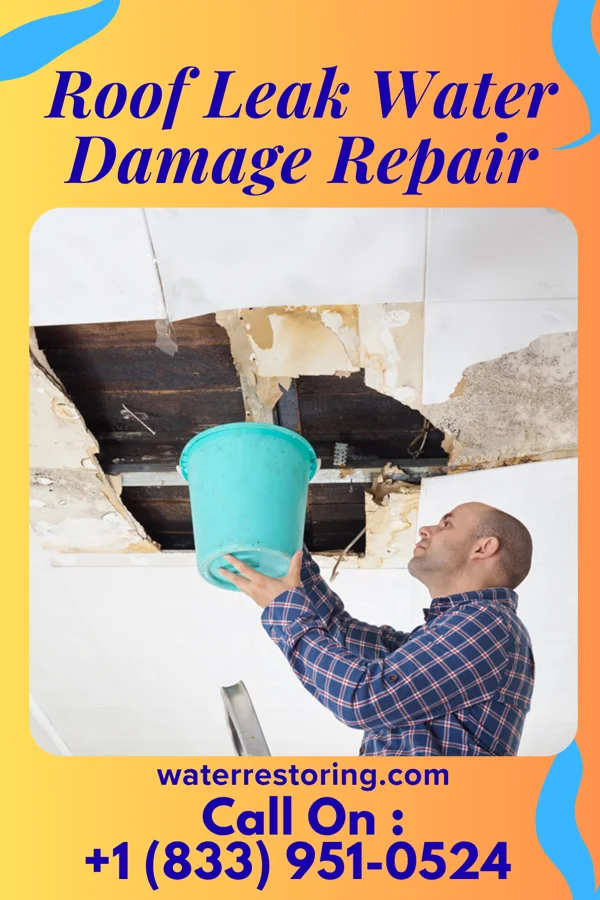 Roof Leak Water Damage Repair in New Plymouth, ID